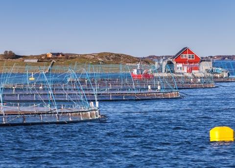 Norwegian fish farm in a fjord near Trondheim