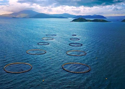 Australis Aquaculture’s barramundi has been certified as sustainable by the ASC Photo: Australis Aquaculture