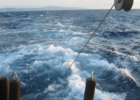 The report says that the CFP can only make fisheries sustainable and profitable with adequate data on fish stocks and the proper enforcement of laws that prevent overfishing