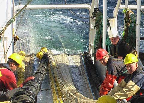Kutterfisch-Zentrale uses envrionmentally-sound methods to fish for North Sea saithe. Photo: MSC