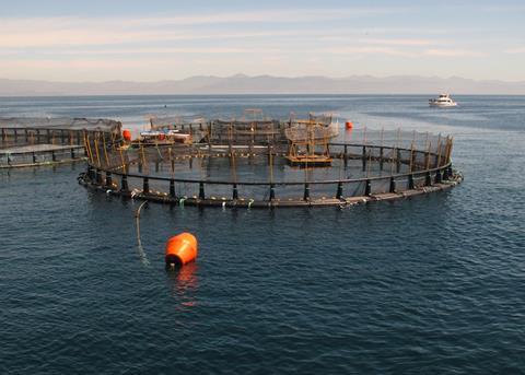 ASC consults on major programme improvements