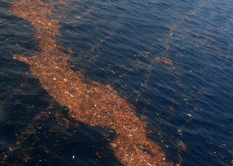 Tsunami marine debris is set to reach Hawaii this winter