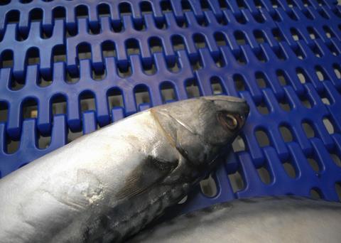 Scanbelt will present its new belt generation at SPE