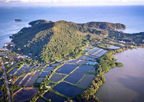 Issue 3.0 of the BAP Farm Standard is now available Photo: Global Aquaculture Alliance