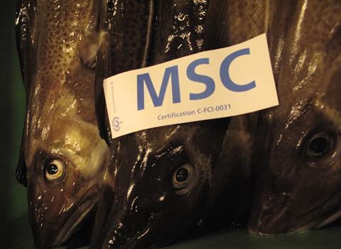 GSSI Steering Board announced its recognition of the MSC