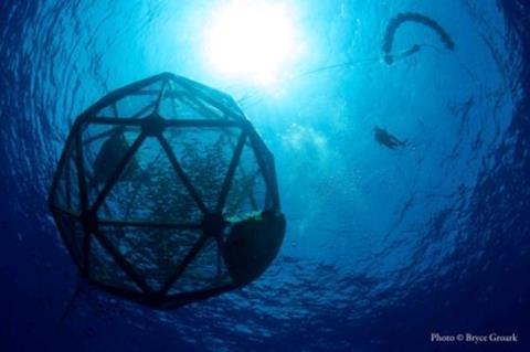 The Velella project raised fish in a drifter pen far offshore the Big Island of Hawaii. Credit: PRNewsFoto/Kampachi Farms, Bryce Groark