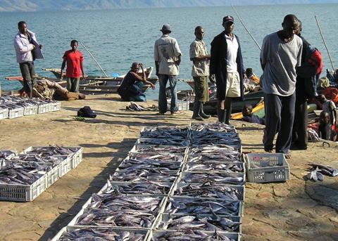 Fishermen arriving at Mpende Fisheries on the shores of Lake Tanganyika to sell their fish to the company