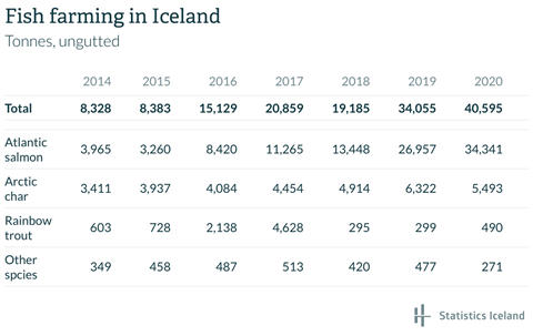 fish-farming-in-iceland