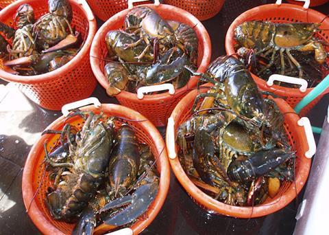 Inland Seafood has joined Sea Pact Photo: NOAA