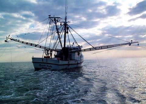 US seafood landings remain high, News