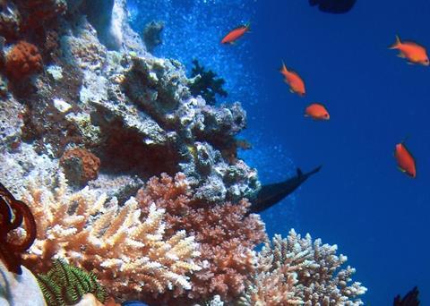 ICES says there is a need for science and advice on marine ecosystems to go beyond traditional assessments. Photo: Richard Ling