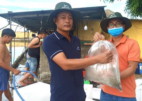 The first tilapia fingerlings from the new GenoMar Genetics facility have been delivered to market in Vietnam Photo: GenoMar Genetics