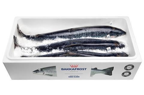 Bakkafrost salmon