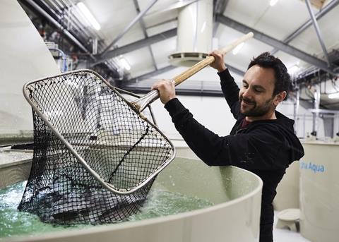 BioMar is the highest ranked feed supplier in the Seafood Stewardship Index Photo: BioMar Group