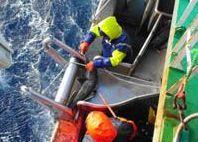 The toothfish stocks targeted are healthy