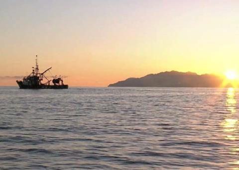 Sanford offers to stop fishing in Hauraki Gulf if all fishers record and report catch