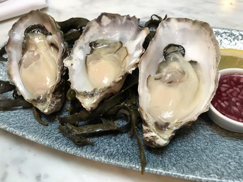 Pacific oysters