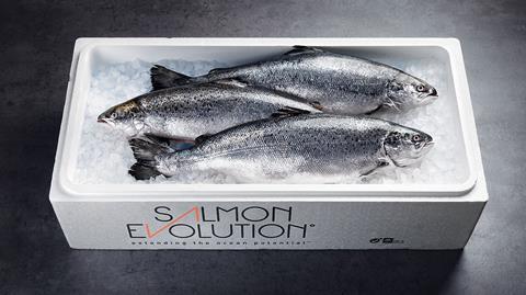 Salmon Evolution