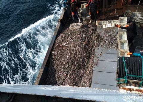 Hidden vessel ownership – Ghana loses out