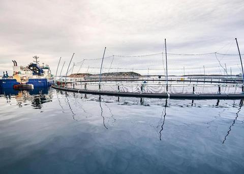 Norcod has established a new location in Meløy Photo: Norcod