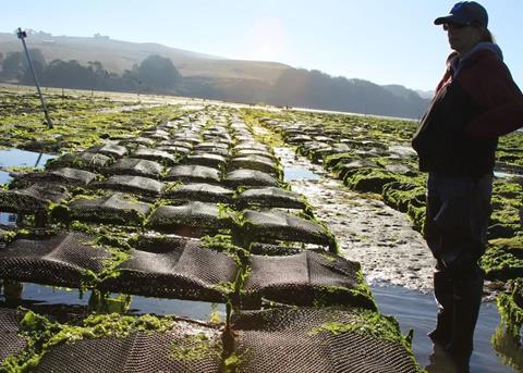 Stakeholders in aquaculture literacy can now apply for a US$15,000 grant Photo: NOAA