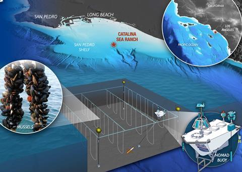 Catalina Sea Rach holds a permit for developing 100 acres of ocean space
