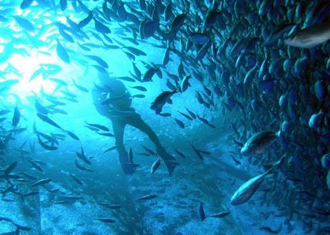 SUBflex has designed the largest offshore fish farm netcage system in the world. © Tal Flanzman