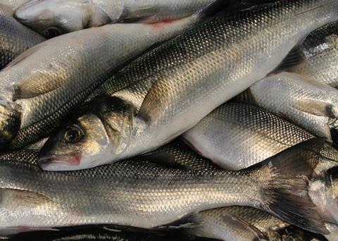 Aquatic foods demand could double by 2050