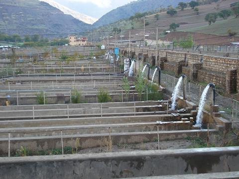 Iran freshwater species