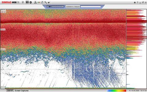 This screen capture (in Replay mode) shows the fish in a typical aquaculture fish cage. The transducer is located in the bottom of the cage looking upwards, and the EK15 has been set in the corresponding mode of operation. Up to 15 fish cages ca...