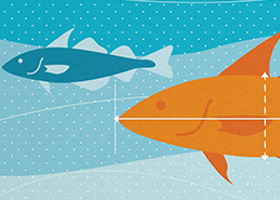 MSC Science Series, free open access library on fisheries science