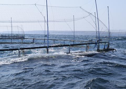 Sulphide Levels: Better Monitoring