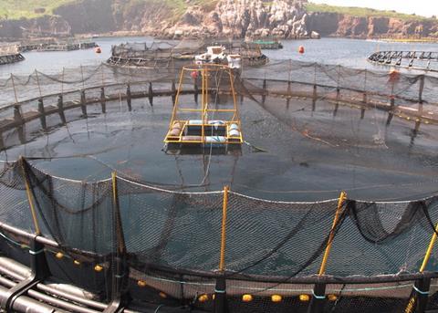 ASC's standard is dedicated to measurably improving the environmental and social performance of aquaculture producers
