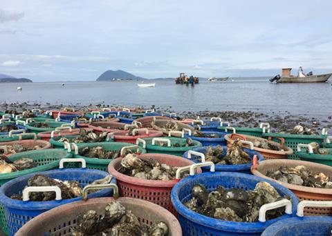 Additional $255 Million in CARES Act Funding