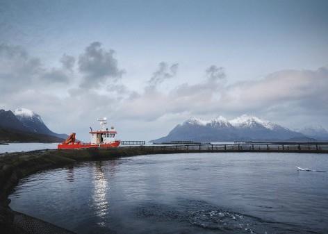 Cermaq has introduced blockchain technology to enhance transparency and traceability