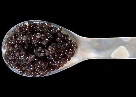 The new fish farm will produce luxury caviar. Photo: THOR