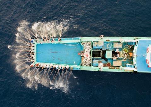 Protection and support for Maldives’&nbsp;tuna