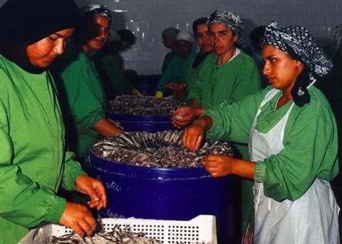 Fishing sector’s equality shortfall