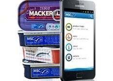 The MSC has launched its mobile app to help shoppers search for certified sustainable seafood on the go