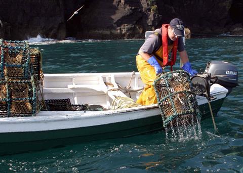 The marine research and seafood sector low carbon roadmap will help boost the Irish seafood sector. Photo: John Rafferty Photography/Marine Photobank