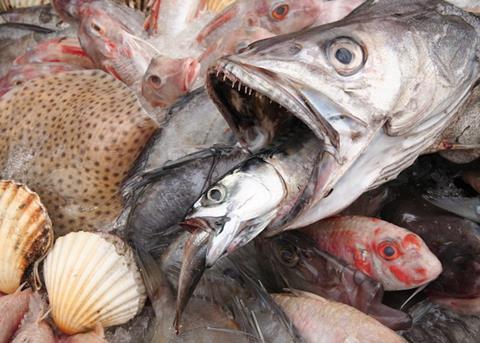 UK seafood consumption crisis