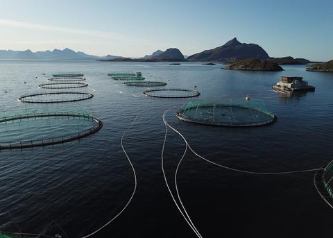 Kvarøy salmon farm off the island of Selsøyvær in the Norwegian Sea Photo: AKVA Group