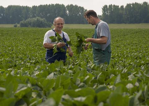 Greener feed for Norwegian salmon