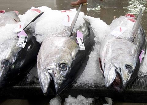 Despite an objective of reducing overfishing for bigeye tuna, the European Commission is still disappointed by the lack of ambition in protecting tropical tunas