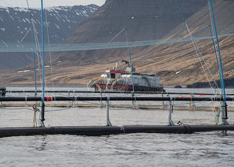 Taking the stress out of salmon transfers