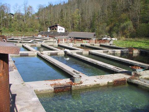 German aquaculture