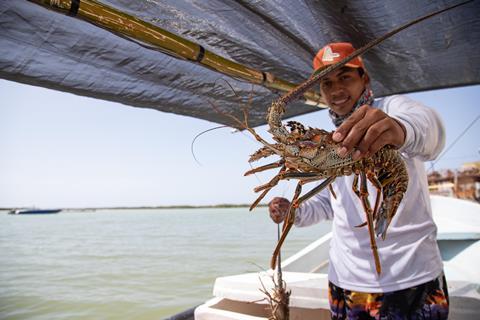 Yucatan lobster fisher