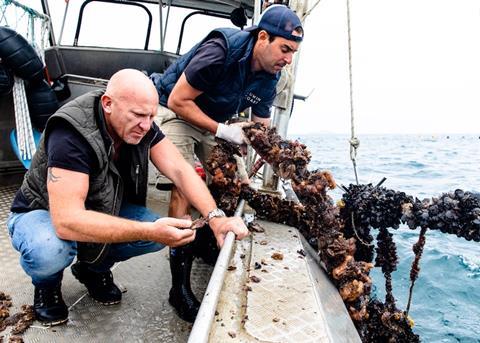 Leeuwin Coast seafood