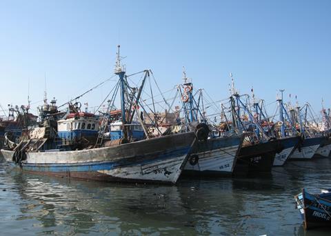 Eleven EU fishing vessels will be able to fish in the waters of the Kingdom of Morocco in return for an annual payment. Photo: travelinknu