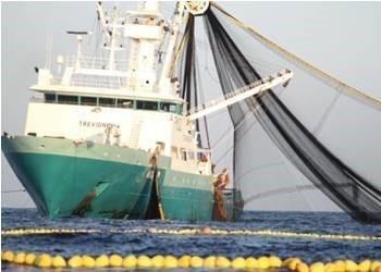 CFTO has achieved Friend of the Sea certification